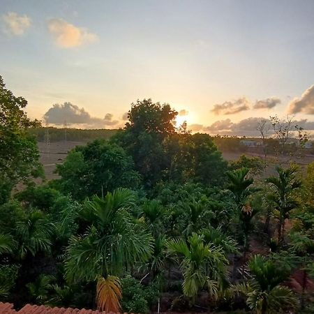 Siddapur Kamanabillu Homestay, For Jog Falls Travellers מראה חיצוני תמונה