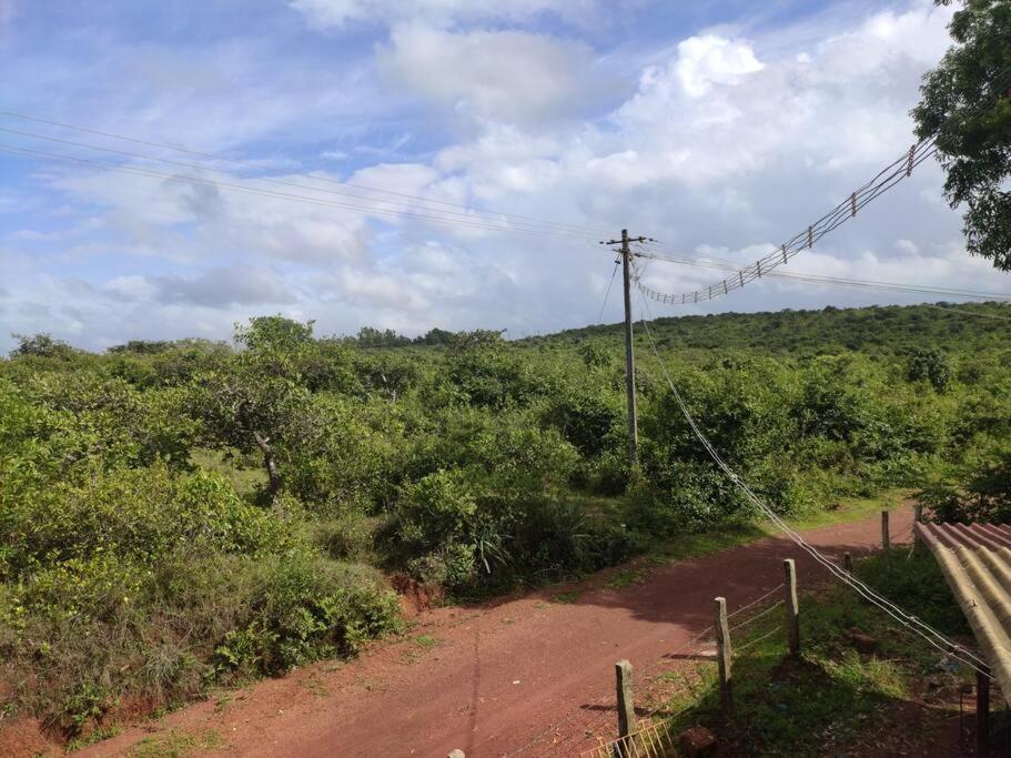 Siddapur Kamanabillu Homestay, For Jog Falls Travellers מראה חיצוני תמונה