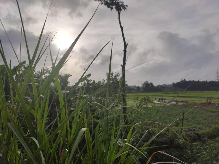 Siddapur Kamanabillu Homestay, For Jog Falls Travellers מראה חיצוני תמונה