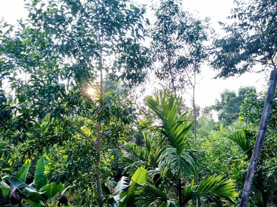 Siddapur Kamanabillu Homestay, For Jog Falls Travellers מראה חיצוני תמונה