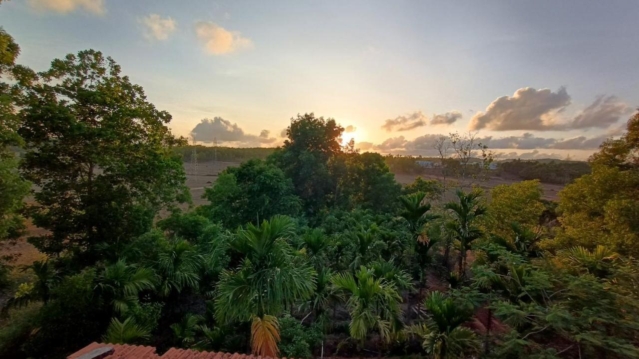 Siddapur Kamanabillu Homestay, For Jog Falls Travellers מראה חיצוני תמונה
